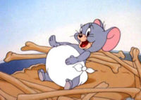 Nibbles, the little orphan mouse, later named Tuffy.